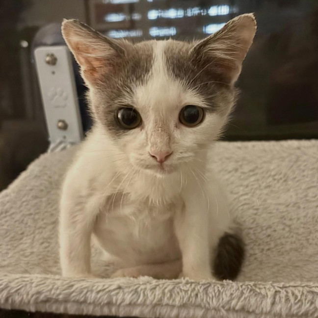 Photo of Charlie