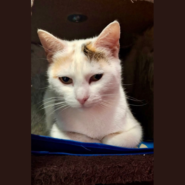 Photo of Isla