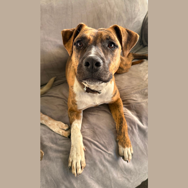 Photo of Bonnie