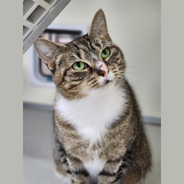 Photo of 🎊 Martha May 6710 🎊