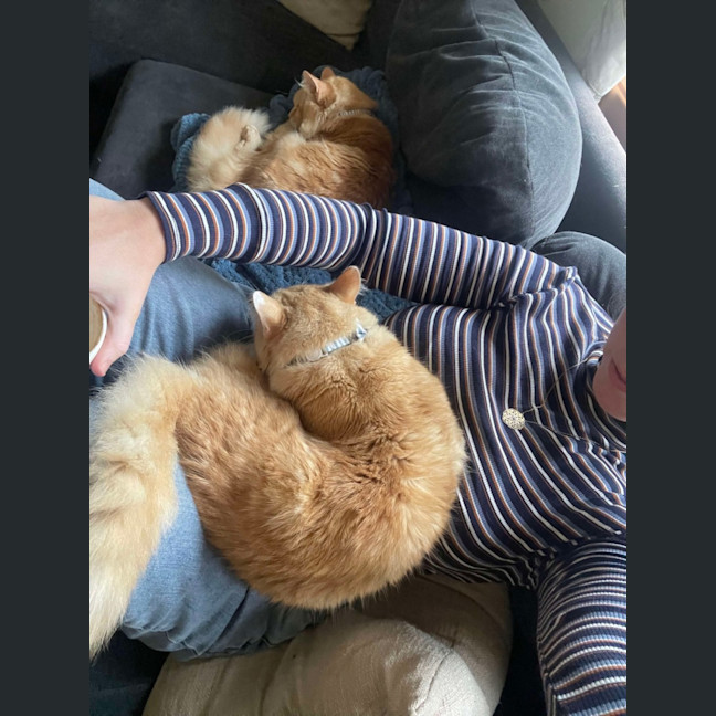 Photo of Mischief And Meggs