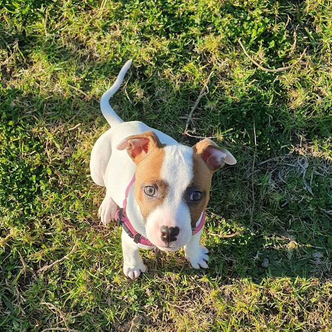 Photo of Lil P