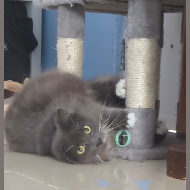 Photo of Betty 