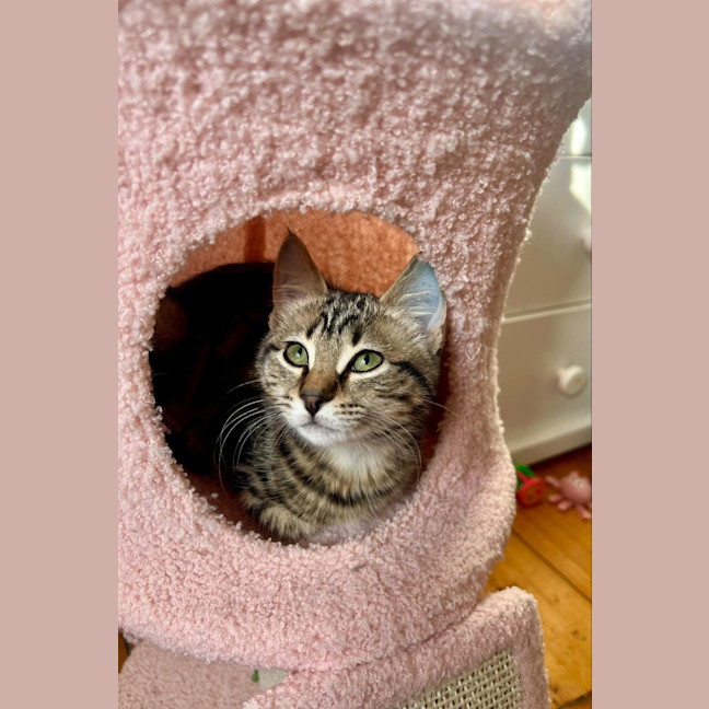 Photo of Winnie