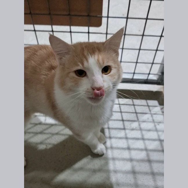 Photo of Timothy