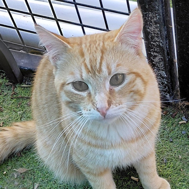 Photo of Cedrick