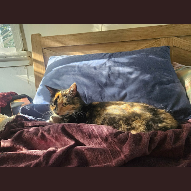 Photo of Sophie