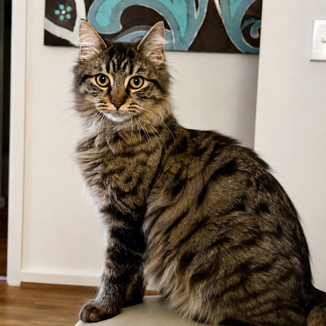 Photo of Jasper