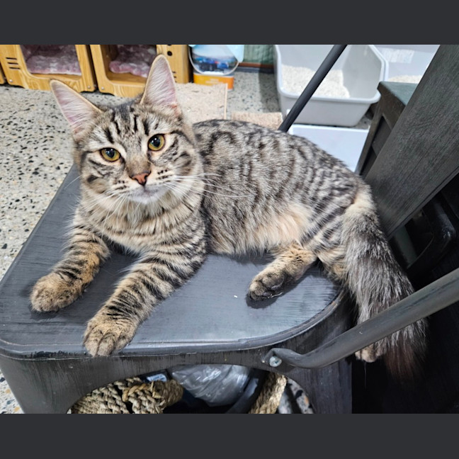 Photo of Bobby Girl