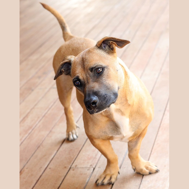 Photo of Winnie