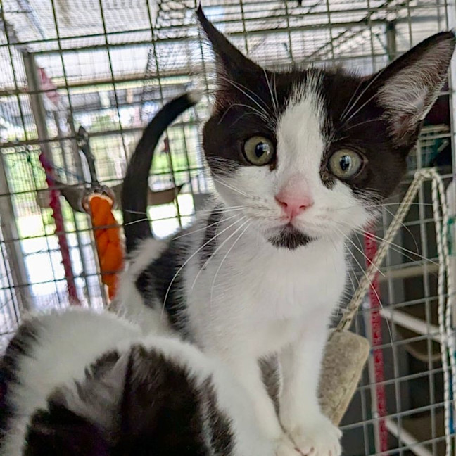 Photo of Jersey Girl