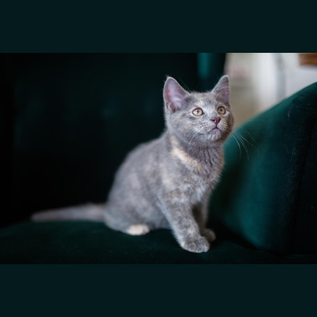 Photo of Hilary   Located In Surrey Hills