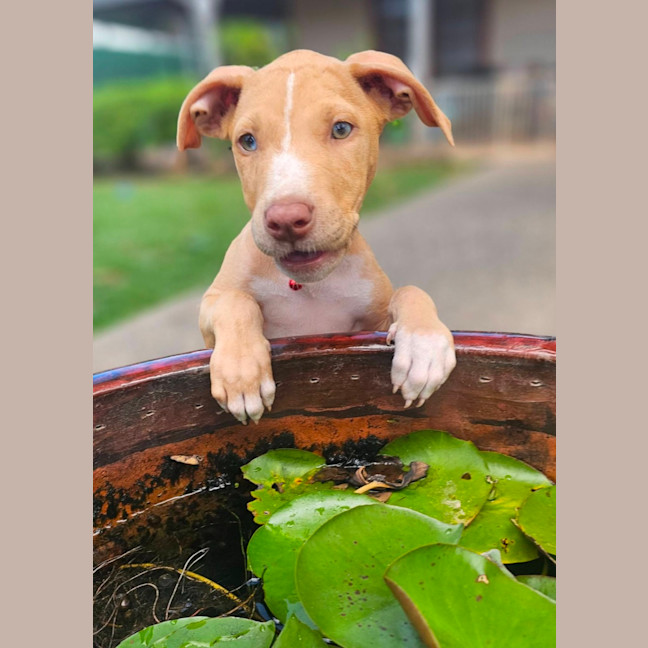 Photo of Doja