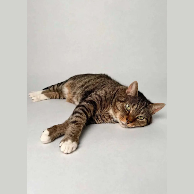Photo of Tom
