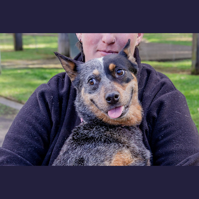 Photo of Kira