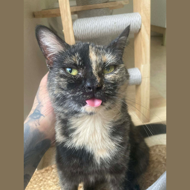 Photo of Chirp Side Park Shopping Centre