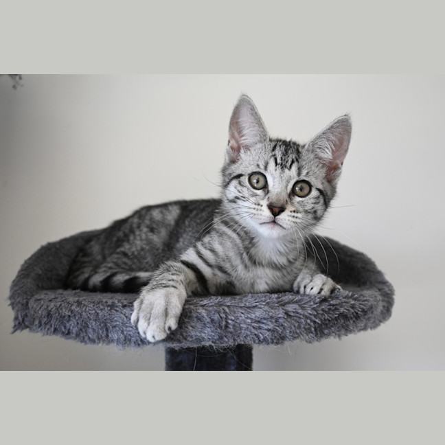 Photo of Esther