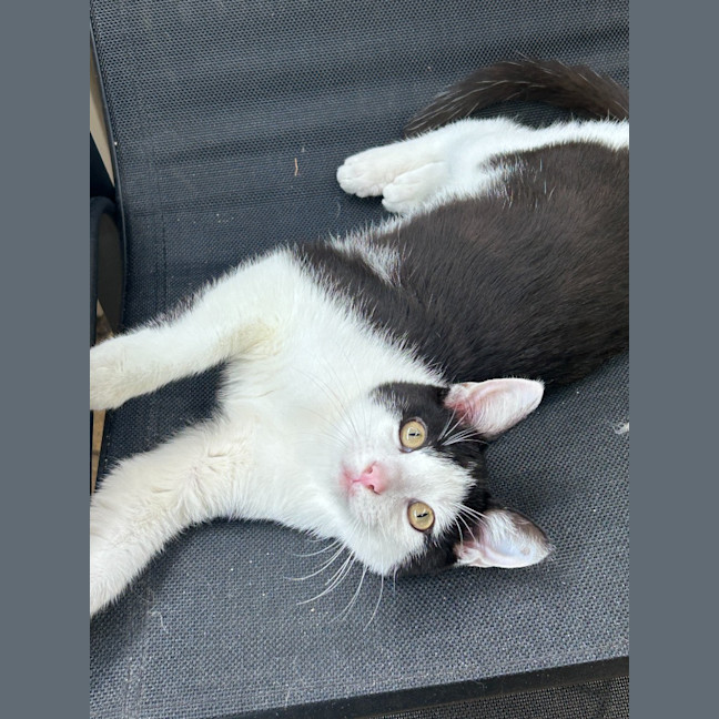 Photo of Sailor