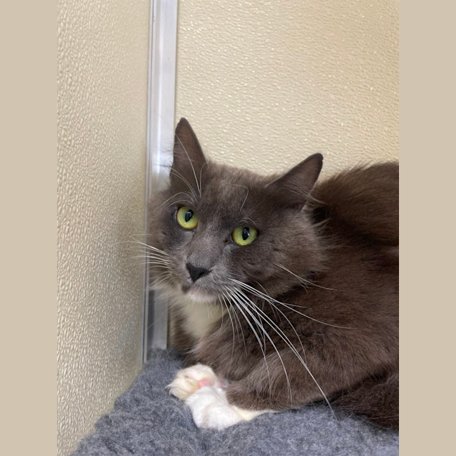 Photo of ✈ Reuben 5603 ✈