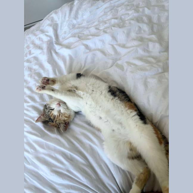 Photo of Nami