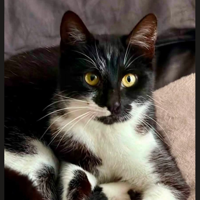 Photo of Pawla