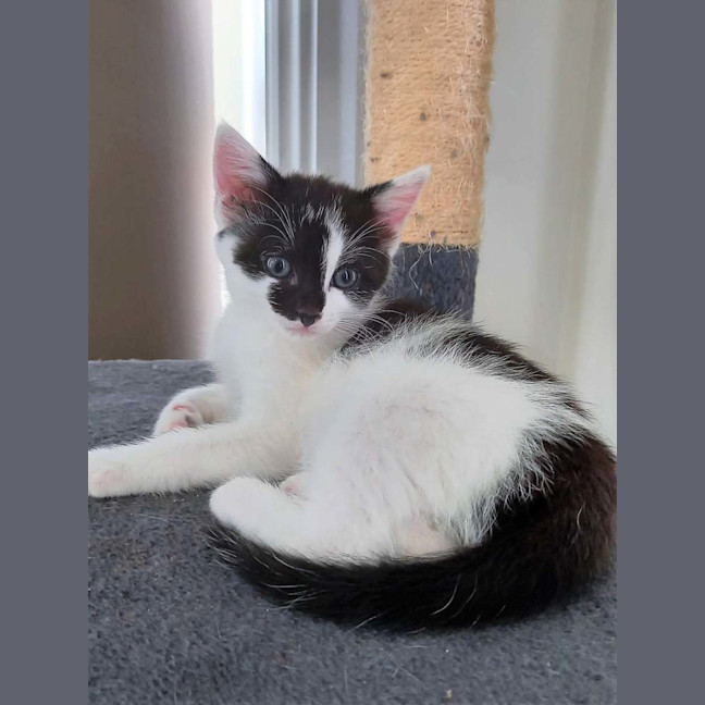 Photo of Lily