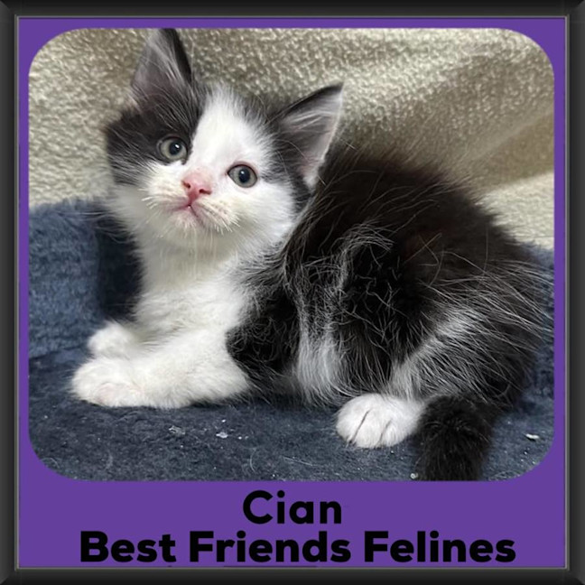 Photo of Cian