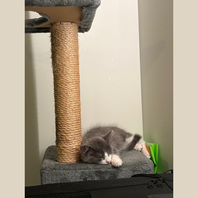 Photo of Hugo