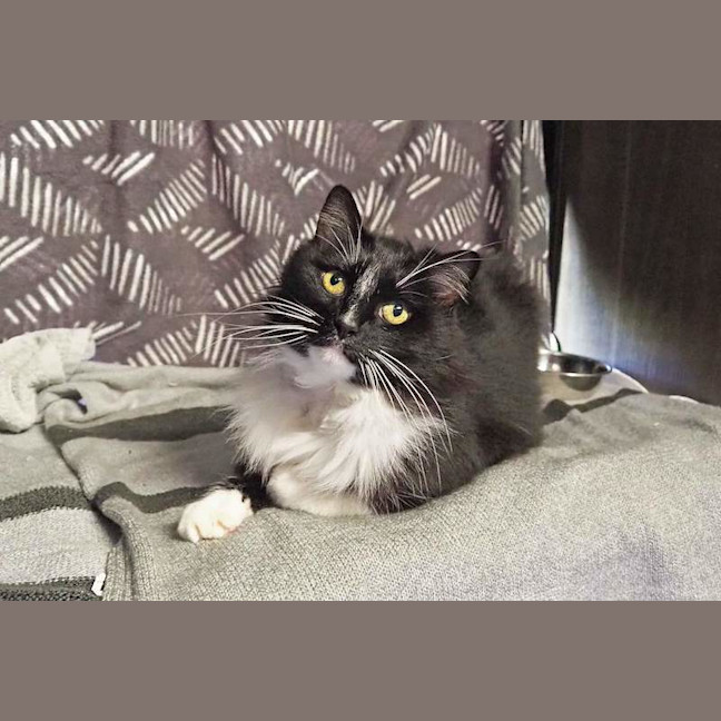 Photo of Coco