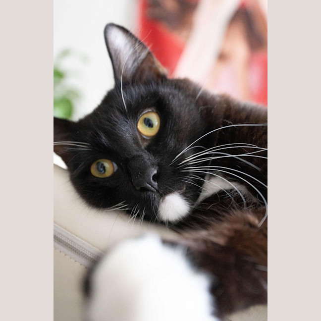 Photo of Daddy Mikey 