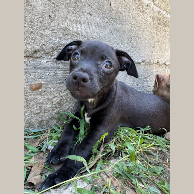 Photo of Odyssey