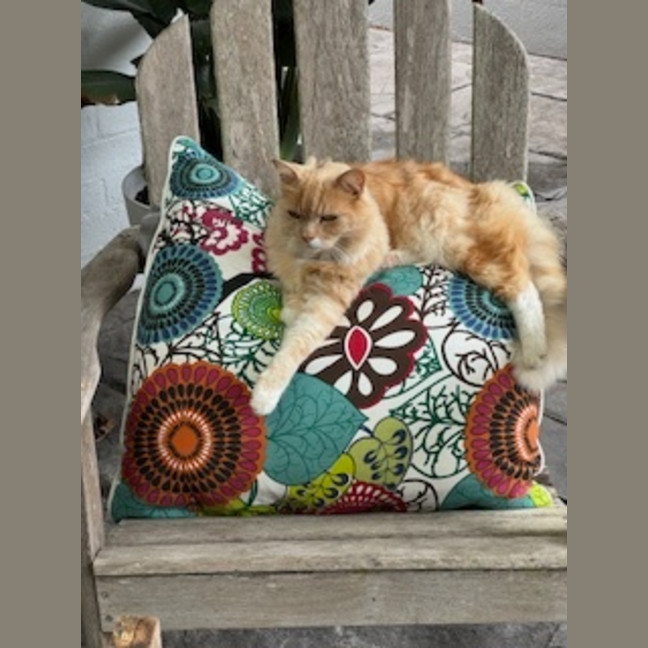 Photo of Eddie & Beryl