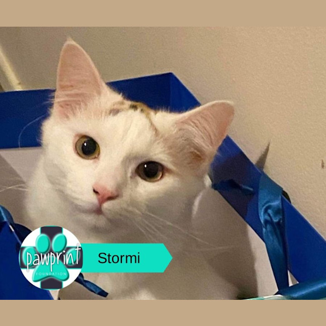 Photo of Stormi