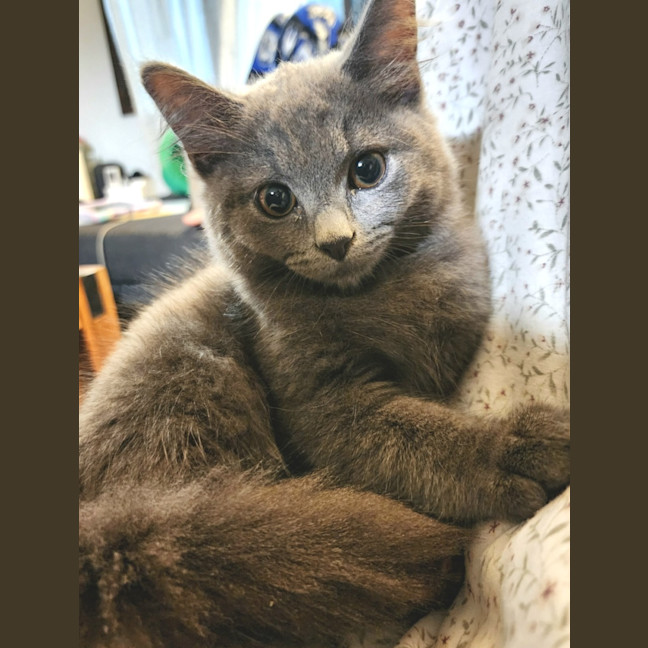 Photo of Winifred 