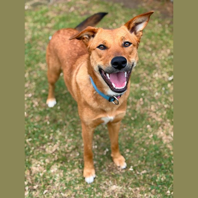 Photo of Thelma