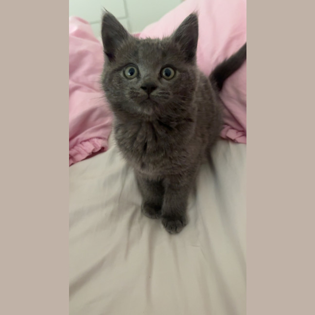 Photo of Ella Bleu