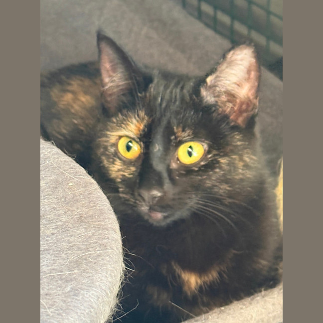 Photo of Wednesday