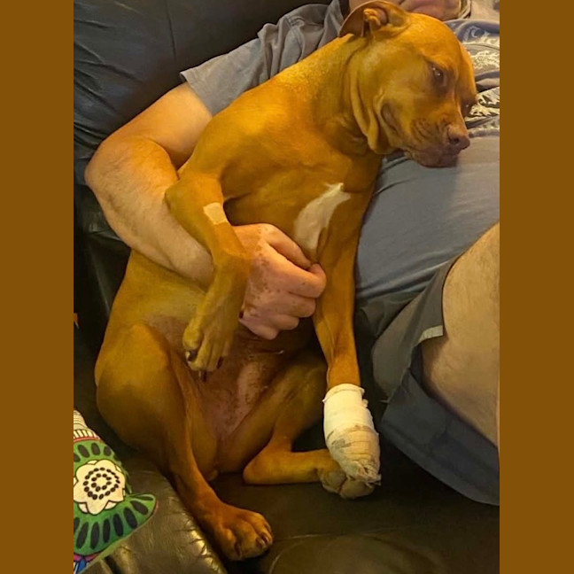 Photo of Honey