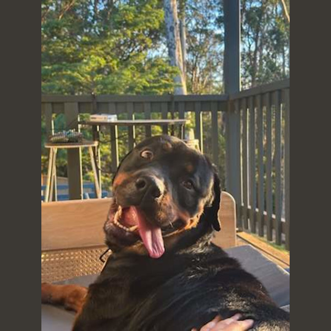Photo of Luna