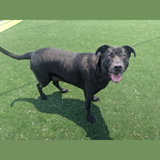 Photo of Leeloo Imp 2795