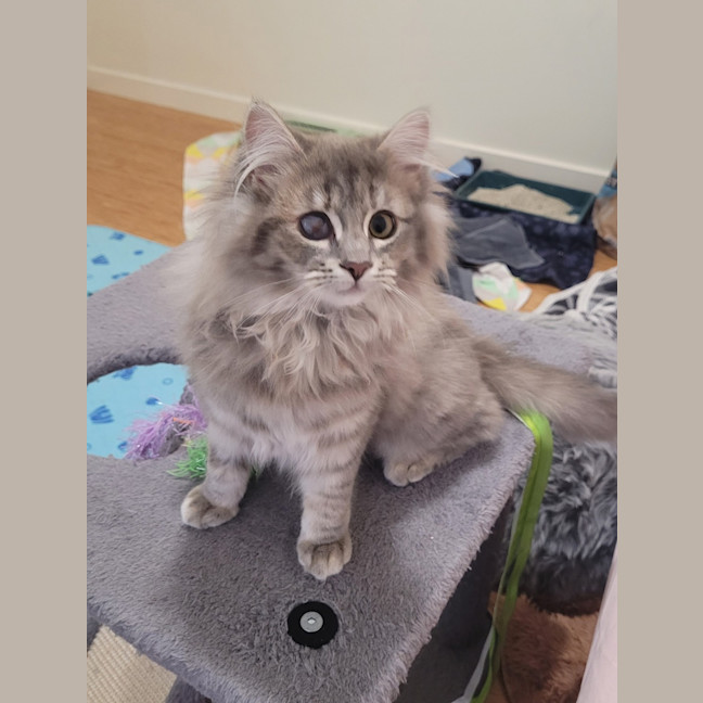 Photo of Rosie