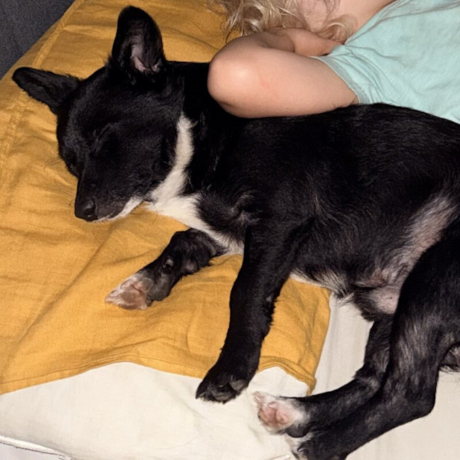 Photo of Charlie