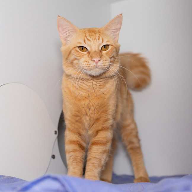 Photo of Sunny
