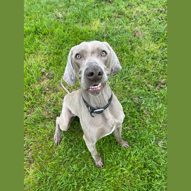Photo of Huxtley