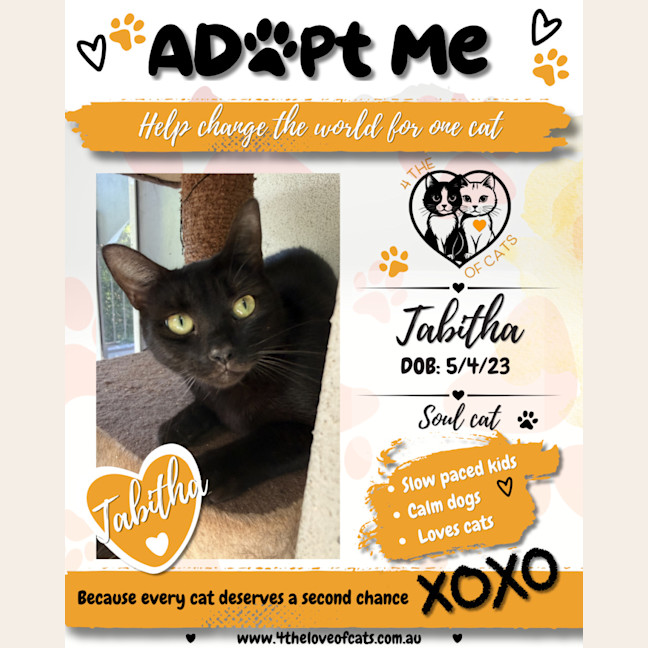 Photo of Tabitha