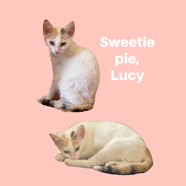 Photo of Lucy Loo