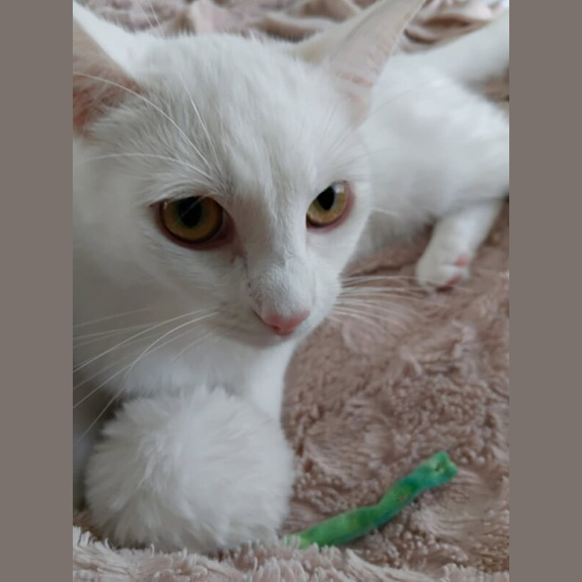 Photo of Crystal