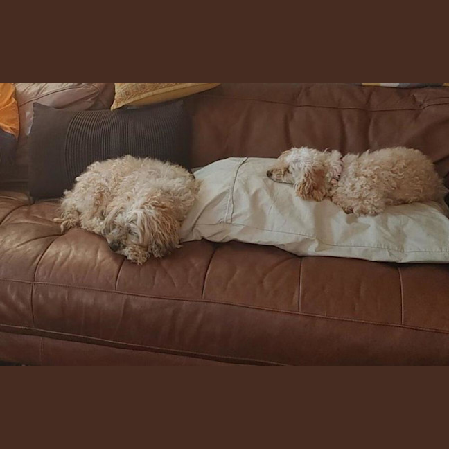 Photo of Angie And Naki Lozano