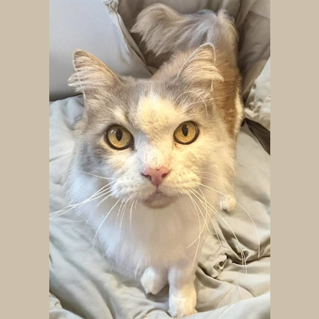 Photo of Knucker & Moley