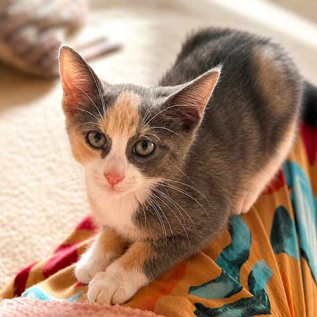Photo of Heidi